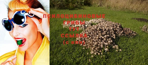 крисы Алексеевка
