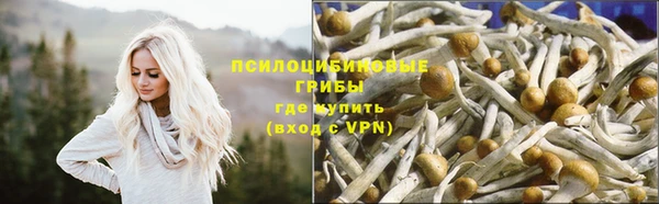 крисы Алексеевка