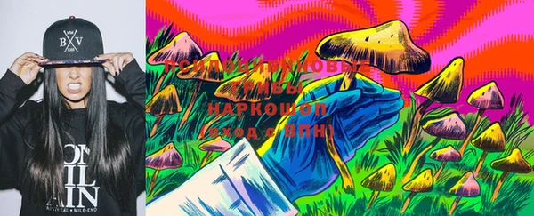 МДПВ Алзамай