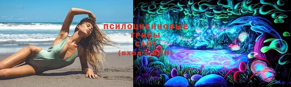 соль ск Алексин